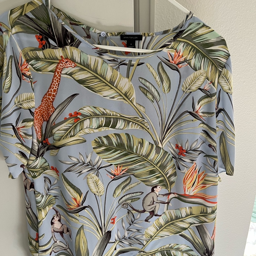 Ann Taylor Blouse